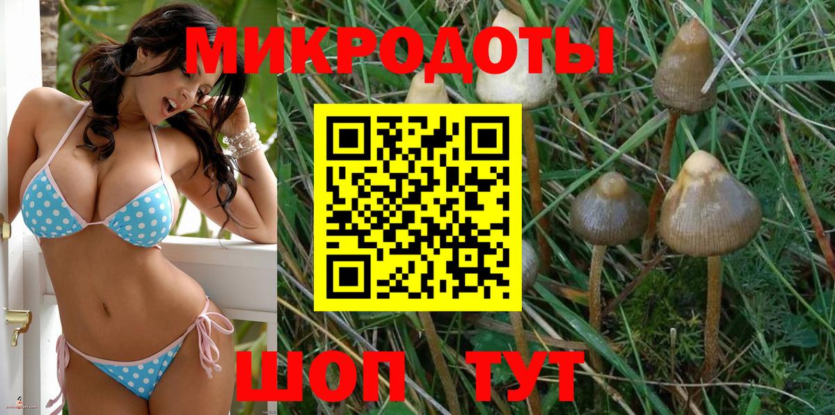 Галлюциногенные грибы ЛСД  Галлюциногенные грибы Magic Shrooms  Вход с VPN  Майский 