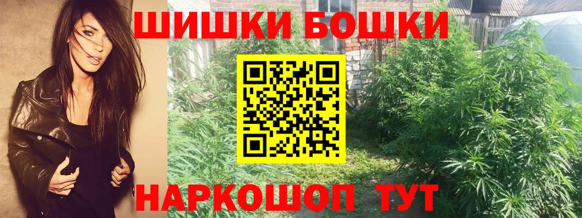 Канабис OG Kush Майский